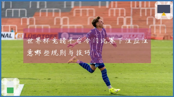 世界杯竞猜平台冷门比赛下注应注意哪些规则与技巧