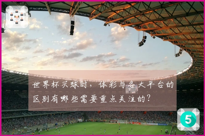 世界杯买球时，体彩与各大平台的区别有哪些需要重点关注的？