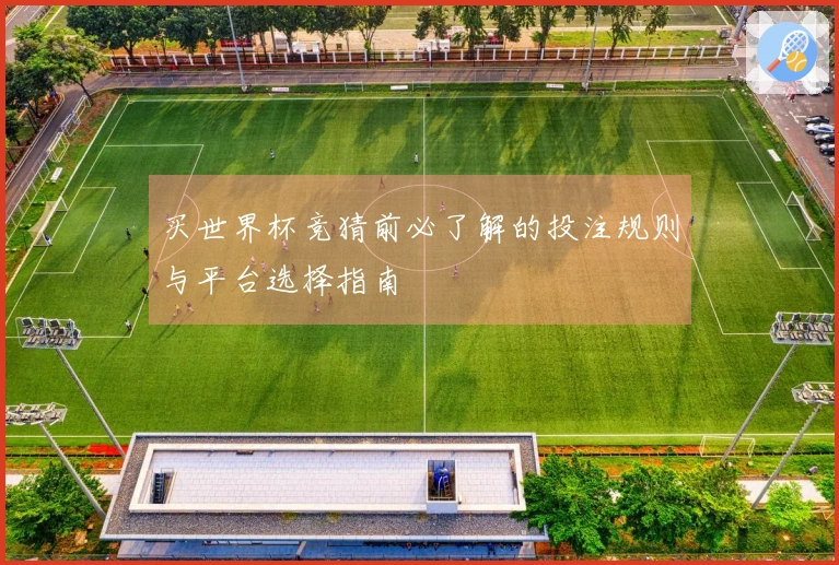 买世界杯竞猜前必了解的投注规则与平台选择指南